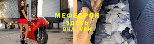 индика Кулебаки