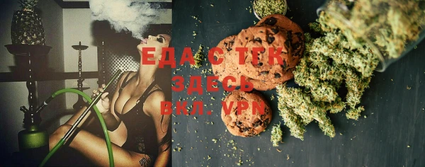 индика Кулебаки