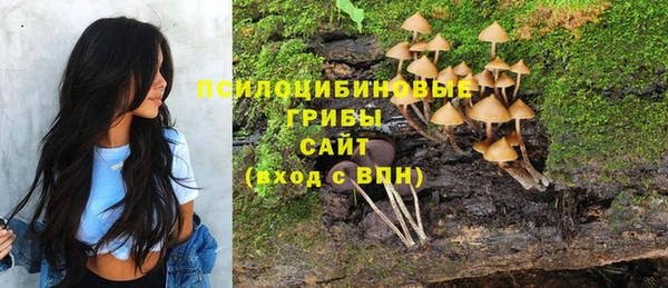 дмт Костерёво