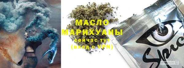 индика Кулебаки