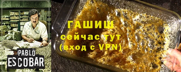 индика Кулебаки