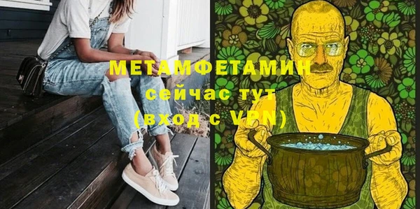 индика Кулебаки
