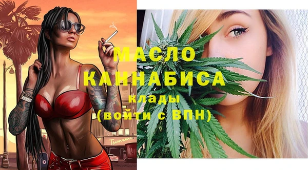 индика Кулебаки