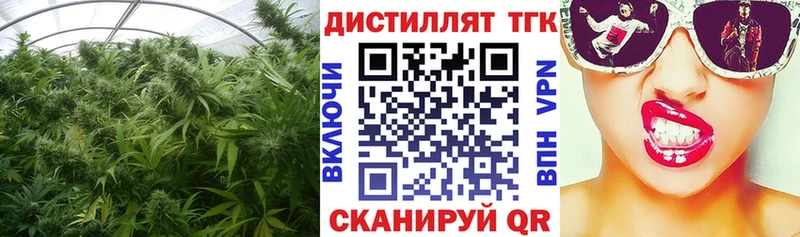 Купить где Богучар ТГК концентрат